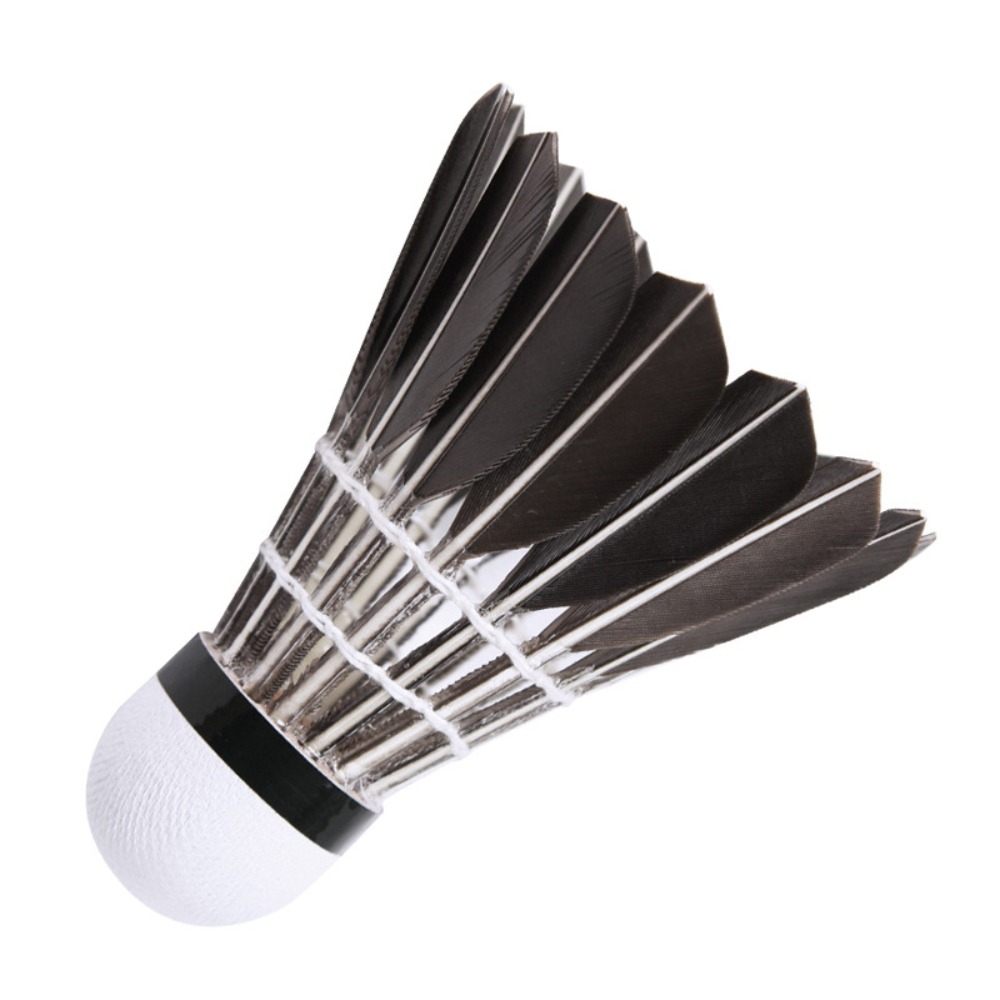Professional แบดมินตันแบดมินตั - Badminton Nylon Shuttlecock บทวิจารณ์และราคา