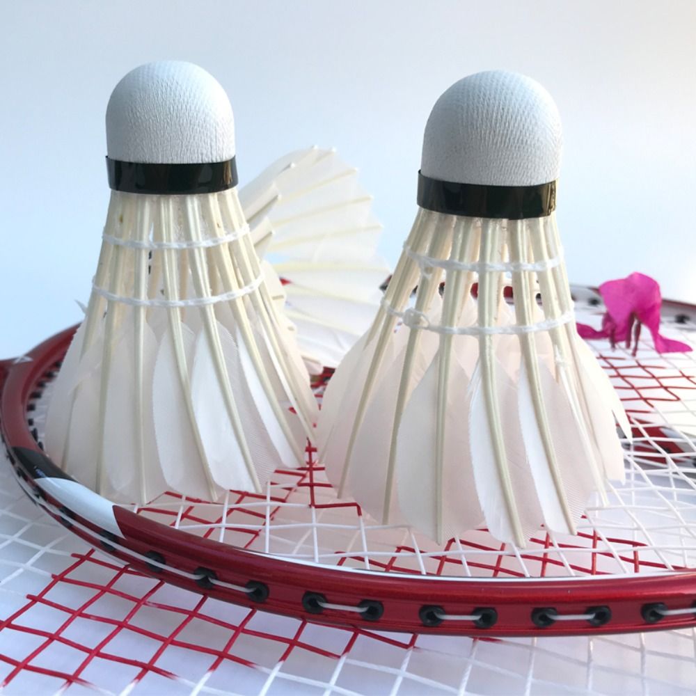 3/6/12Pcs Professional แบดมินต - Badminton Nylon Shuttlecock บทวิจารณ์และราคา